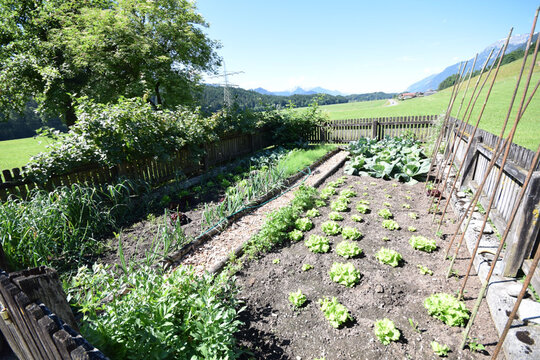 Gemüsegarten am Paulinghof