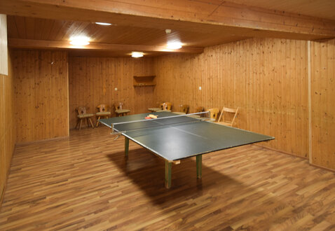 Tischtennis im Paulinghof