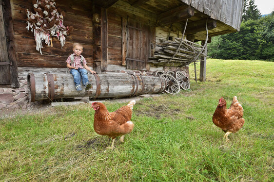 Museum Tiroler Bauernhöfe ©Alpbachtal Tourismus, Gabriele Grießenböck