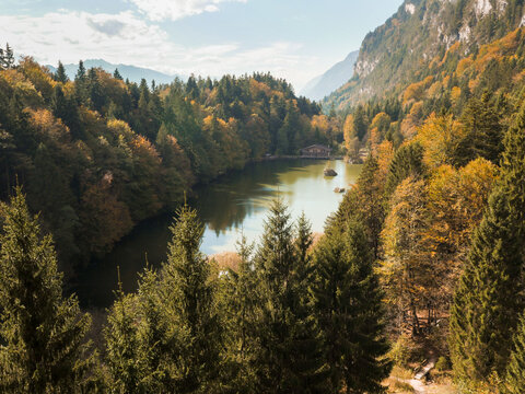Bunte Wälder um den Berglsteiner See ©Alpbachtal Tourismus, Mario Webhofer