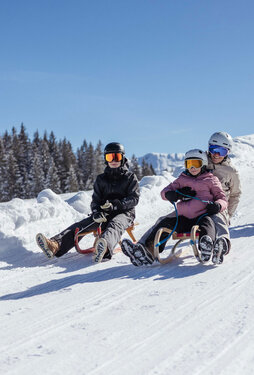 Naturrodelbahn Skijuwel Alpbachtal Wildschönau ©Alpbachtal Tourismus, shootandstyle.com